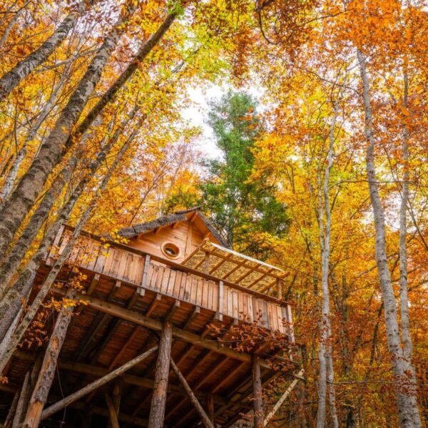Les Cabanes Enchantées, hébergements insolites dans les Hautes Alpes dans le Parc naturel des Ecrins