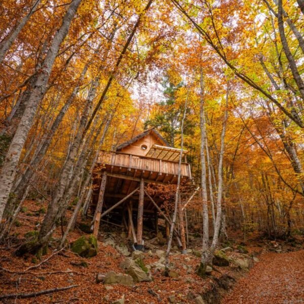Les Cabanes Enchantées, hébergements insolites dans les Hautes Alpes dans le Parc naturel des Ecrins