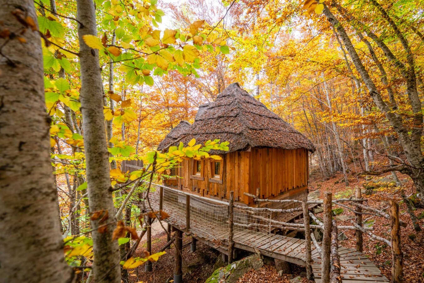 Les Cabanes Enchantées