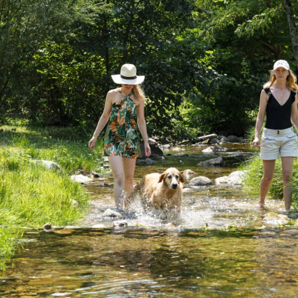 Personnes qui baladent avec leur chien dans la rivière près du Camping Domaine des Ranchisses en Ardèche près de Vallon Pont d'Arc dans le Sud de la France