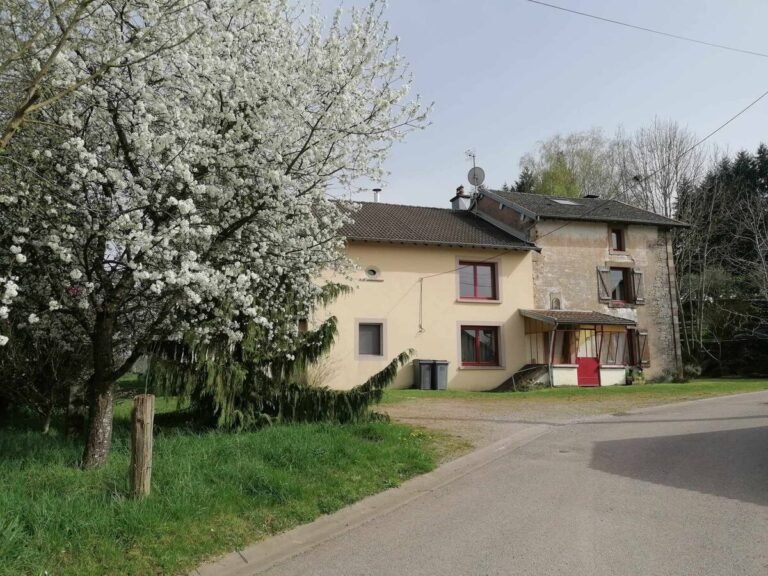 Extérieur Gîte Le 115 Le Retour aux sources où les chiens sont les bienvenus, proche d'Épinal dans les Vosges, dans le Grand Est