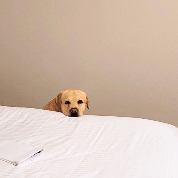 L'Ermitage Hôtel****