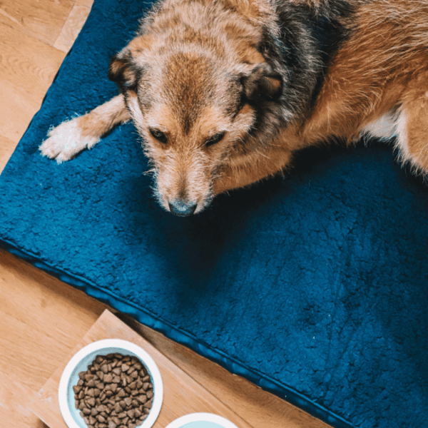 L'Ermitage Hôtel****