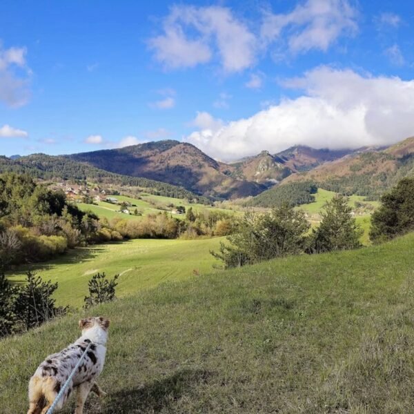 Camping Champ la Chèvre