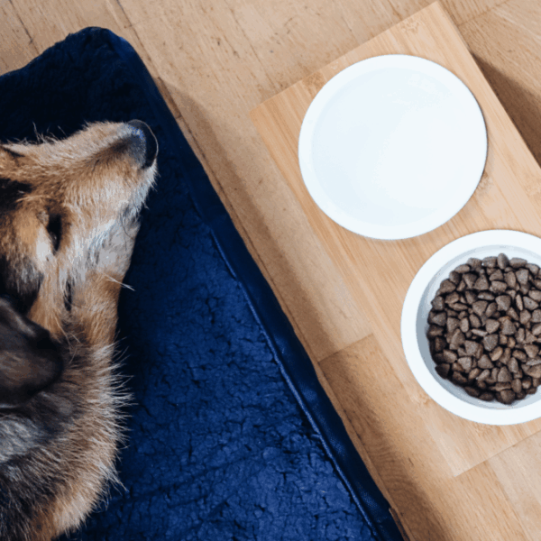 L'Ermitage Hôtel****