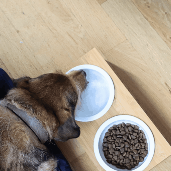 L'Ermitage Hôtel****