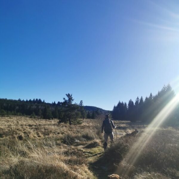 Camping les Sapins de Corrèze