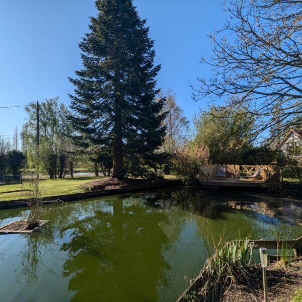 Étang accessible aux chiens - Gîtes La Fermette du Marais à Rue, dans la Somme