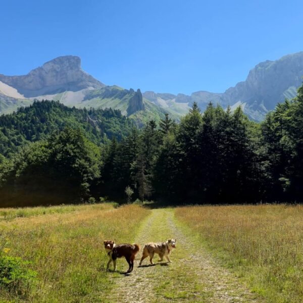 Camping Champ la Chèvre