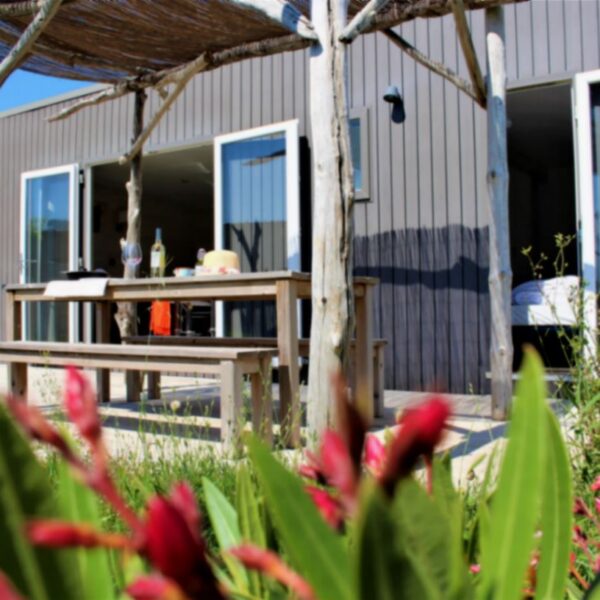 Mobil-home avec terrasse au camping Les Bois Flottés de Camargue, dans le village de Salins-de-Giraud.