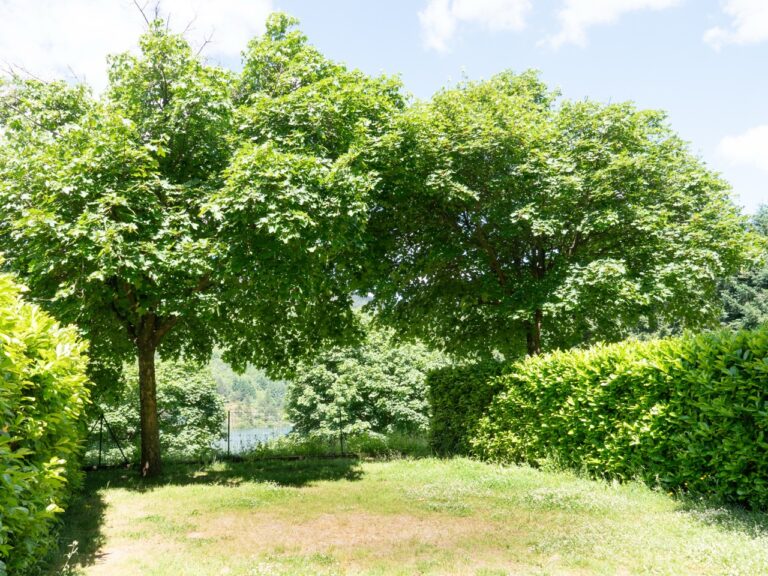 Camping Lac de Villefort – photo 13
