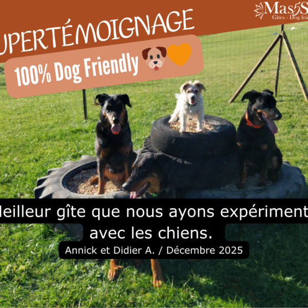 Gîtes Mas Cinq Sols