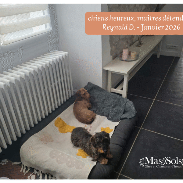 Gîtes Mas Cinq Sols