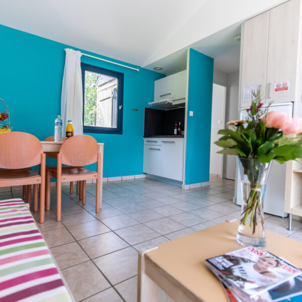 salon d'un hébergements du Village Beauséjour - vacances avec son chien en Bretagne