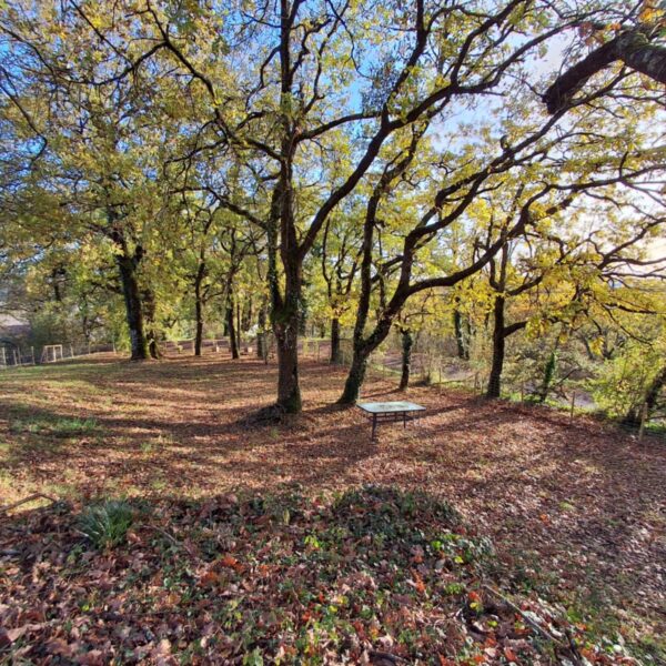 Gîte Le Chalet de Carrou