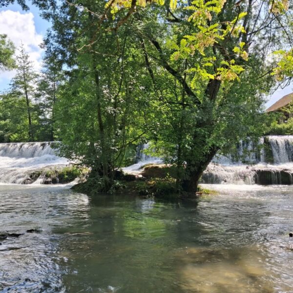 Gîte Le Chalet de Carrou