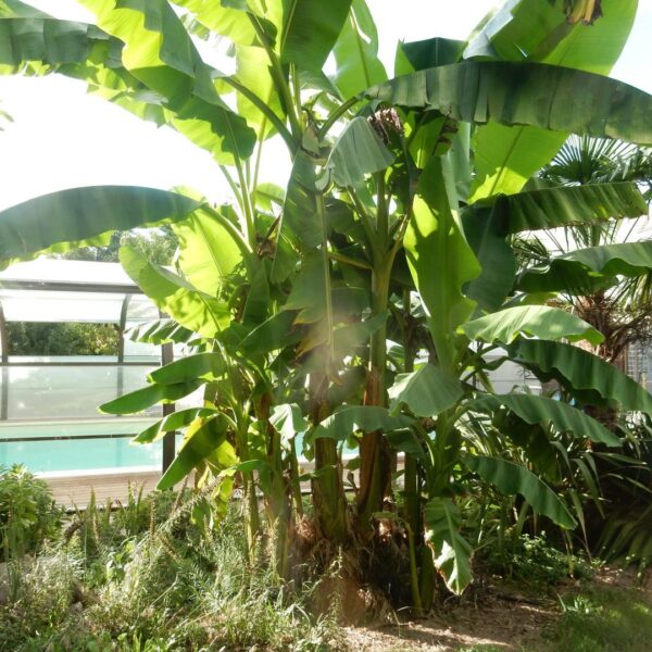 Extérieur du Gite Le Moulin des Myrtilles à Le-Grand-Bourg dans la Creuse