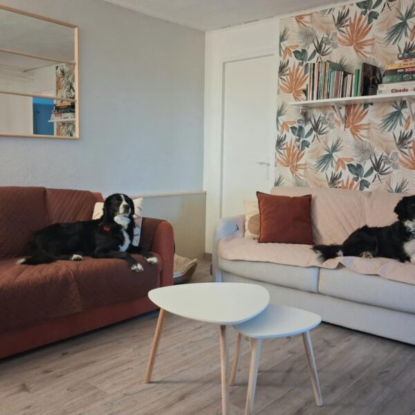 Chien se reposant dans le salon du Gîte le Chalet de Carrou à Coulx dans le Lot-et-Garonne