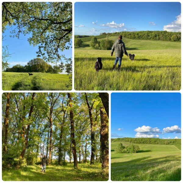 Gîte Le Chalet de Carrou
