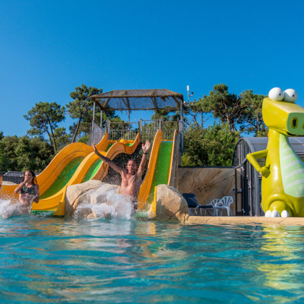Piscine du Camping Les Dinosaures à Talmont-Saint-Hilaire - Vendée