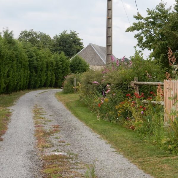 Chemin au Gite Le Moulin des Myrtilles à Le-Grand-Bourg dans la Creuse