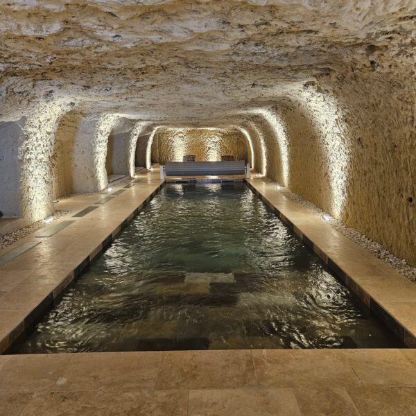 Piscine intérieur du Gîte Le Petit Versailles à Tours en Indre-et-Loire