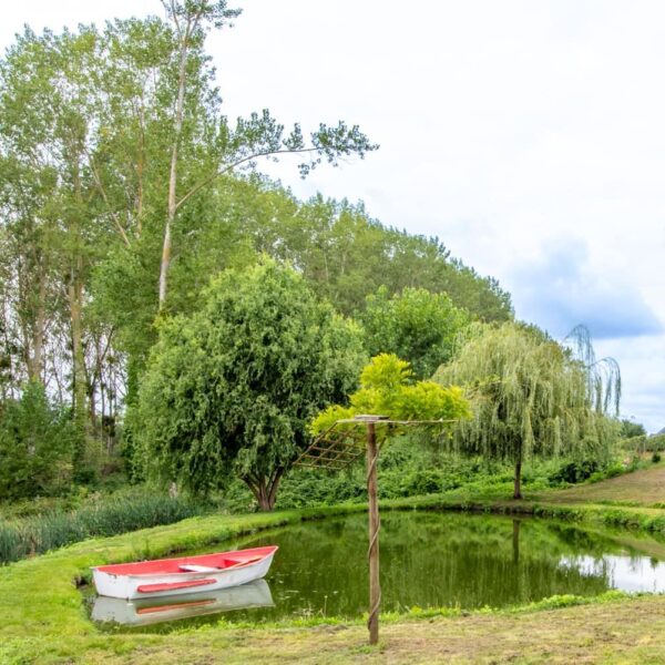Plan d'eau du Gîte Le Clos de la Rodaie à Saint-Nicolas-de-Bourgeuil en Indre-et-Loire