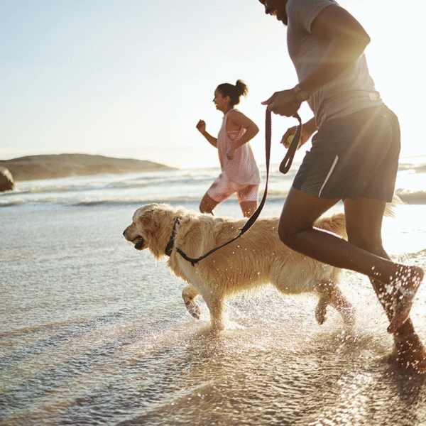 Couple en promenade avec leur chien sur une plage proche des Gîtes Le Clos Vildor en Normandie en Seine Maritime